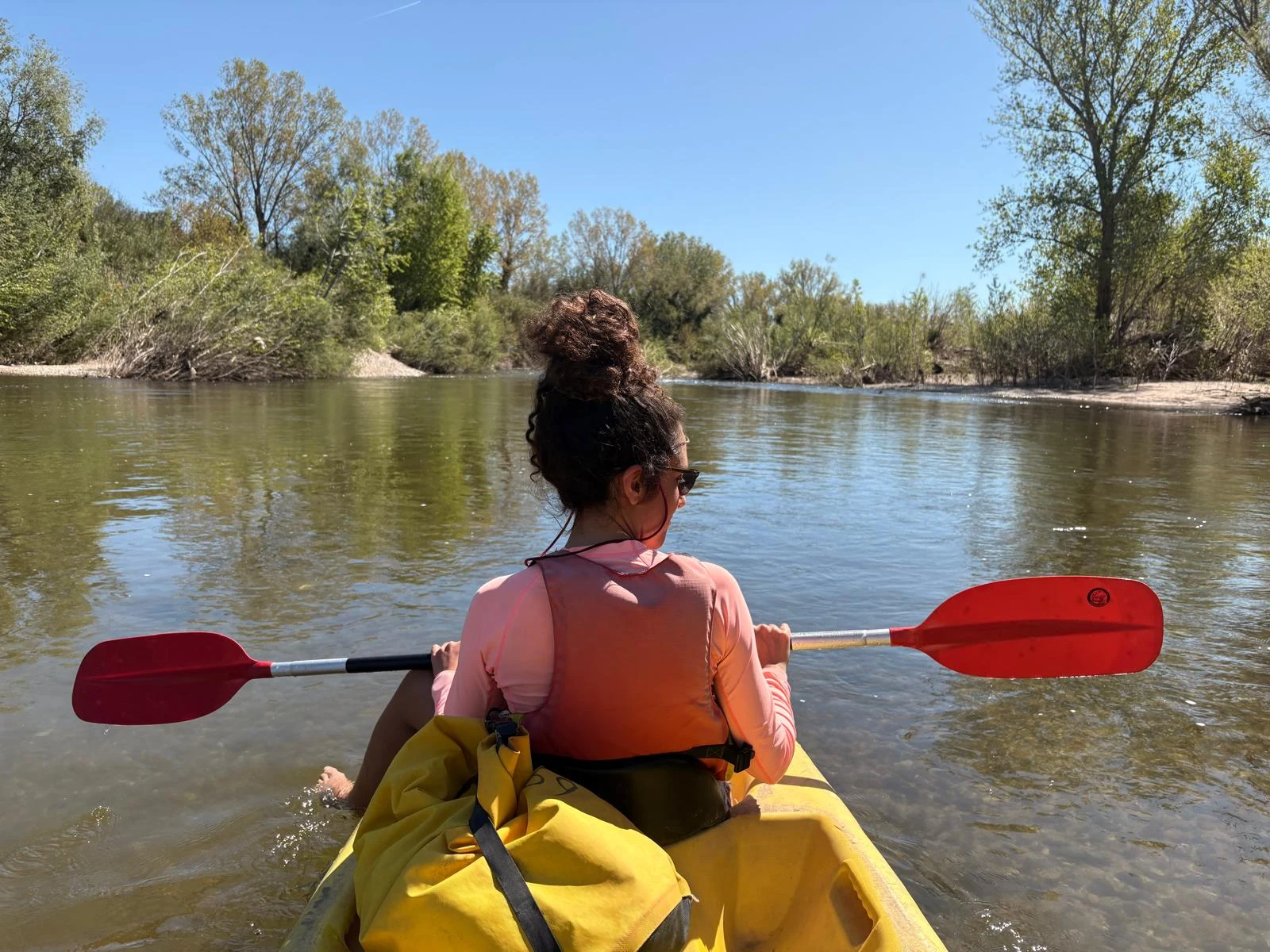 Kayaking along a peaceful river lined with trees